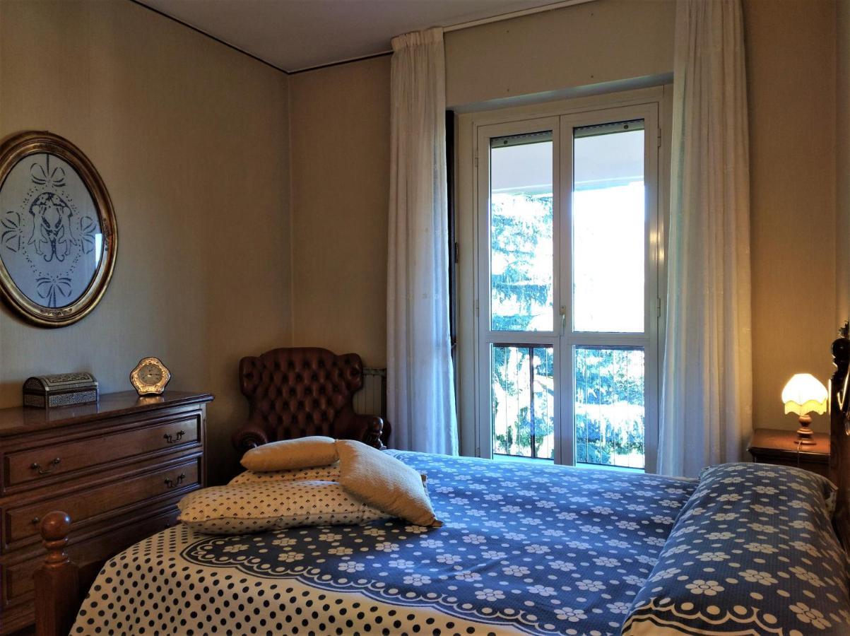 Pettirosso * Stresa